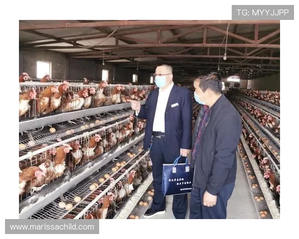 九台农商银行深化普惠金融服务助力乡村振兴与地方经济高质量发展 九台农商银行深化普惠金融服务助力乡村振兴与地方经济高质量发展