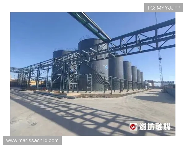 全球总决赛特别报道：LNG如何在竞争中实现华丽转型与突破