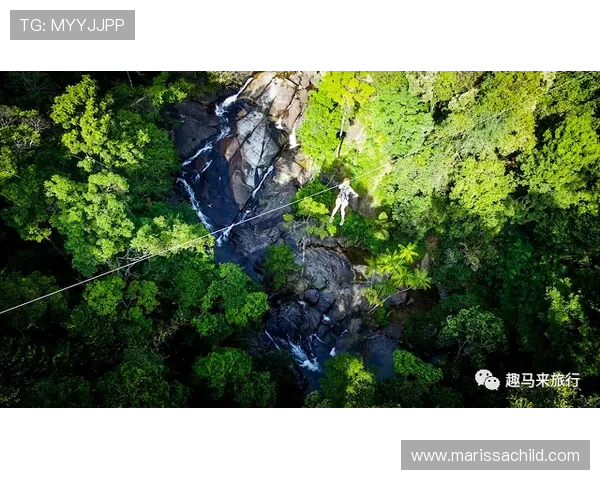 南京极限运动队团队协作的变革与挑战探讨热议极限运动的未来发展