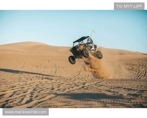 武汉极限运动队实力解析：挑战极限的勇者与激情的碰撞